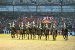 Cavalry - 00288